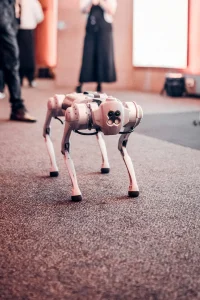 robot dog