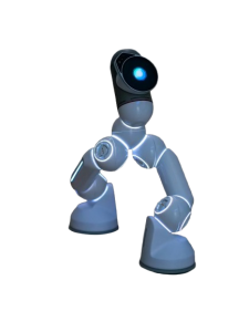 ROBOT WALKING